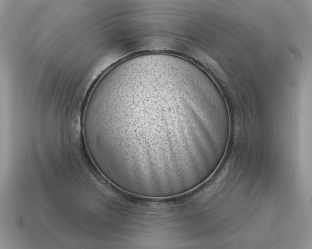 X0000115051226200911091418