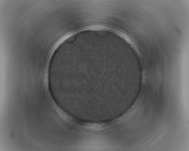 X0000115051229200911091418
