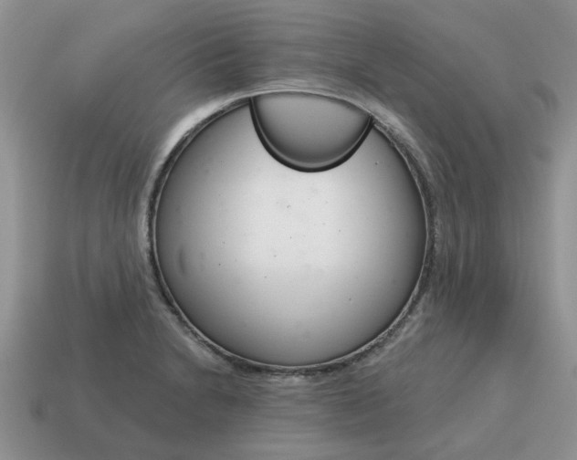 X0000115051230200911091418
