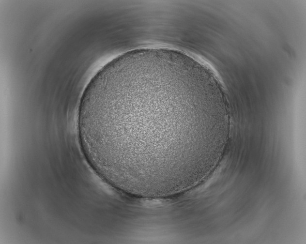 X0000115051231200911091418
