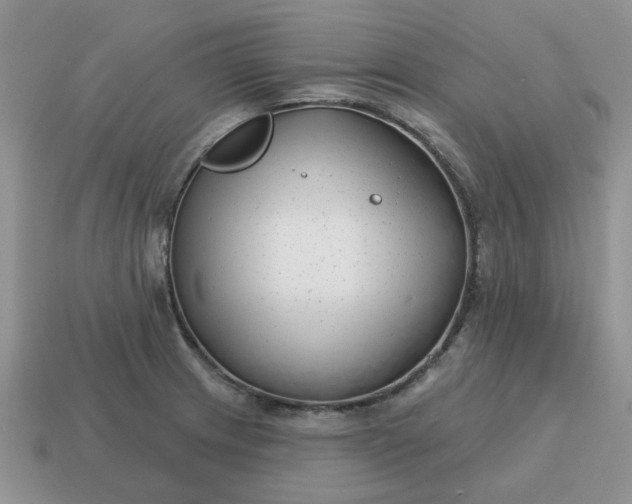 X0000115051233200911091418