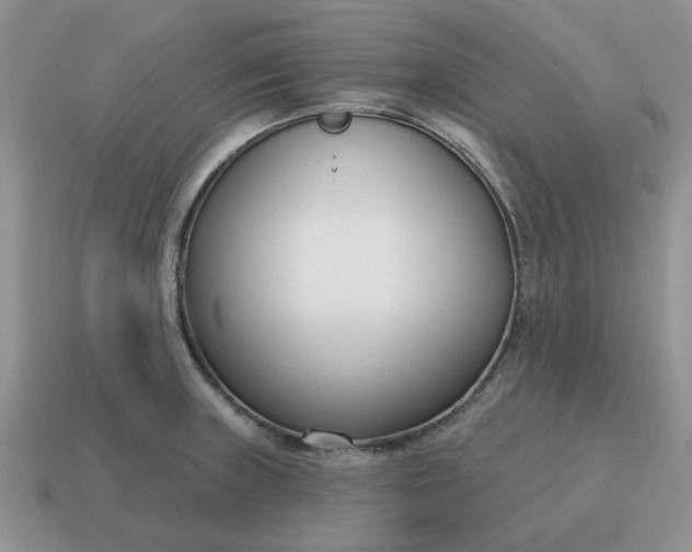 X0000115051235200911091418