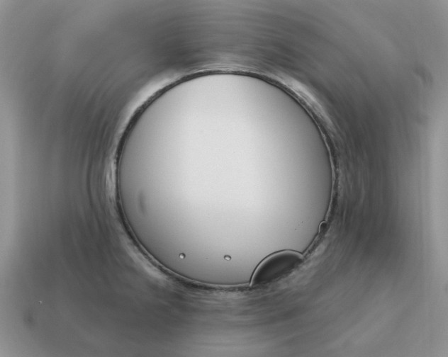 X0000115051238200911091418