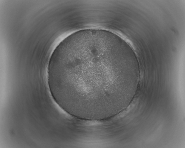 X0000115051239200911091418