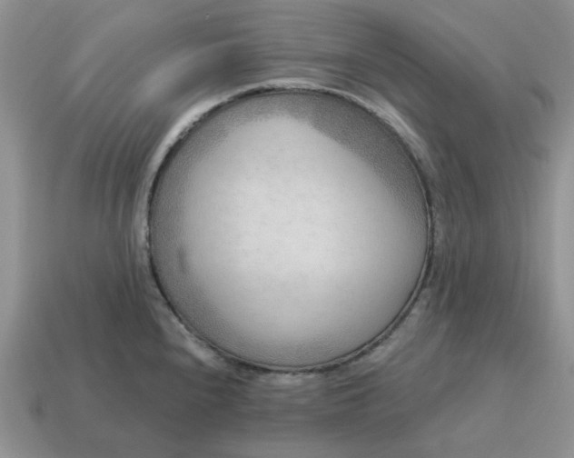 X0000115051240200911091418