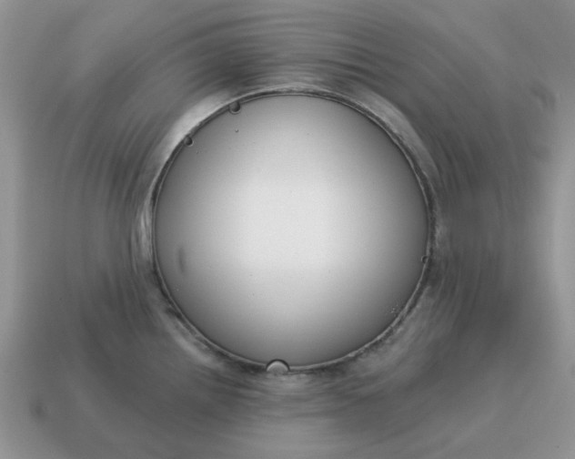 X0000115051242200911091418