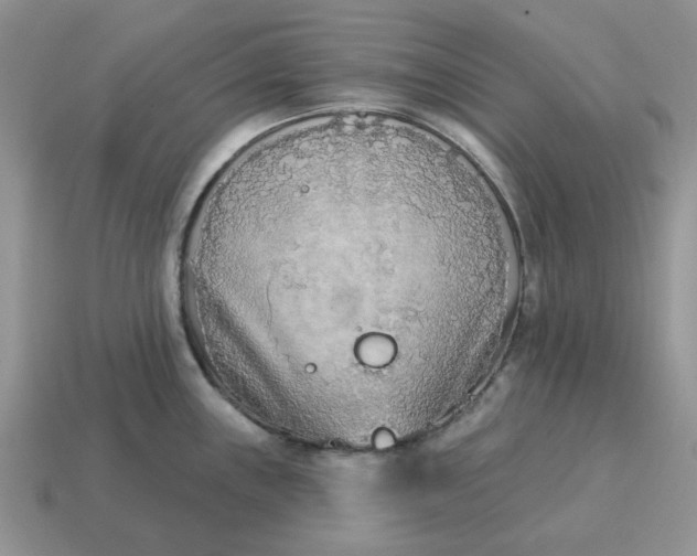 X0000115051243200911091418