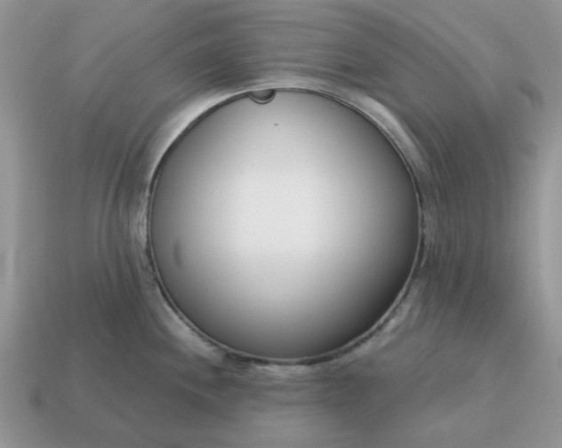 X0000115051244200911091418
