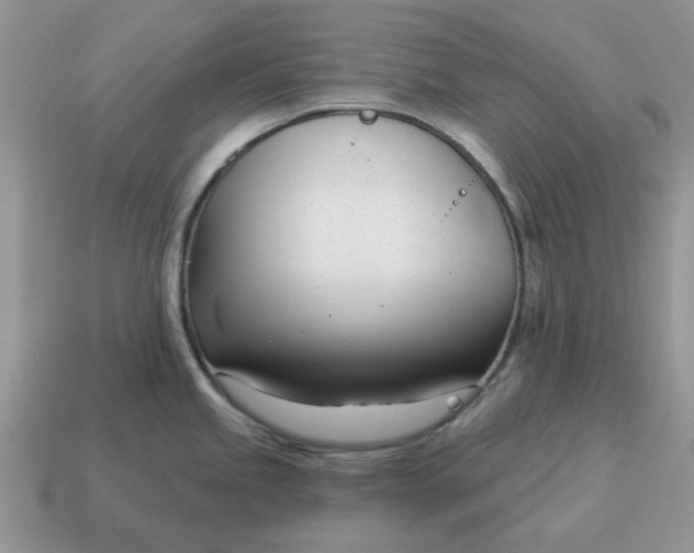 X0000115051245200911091418