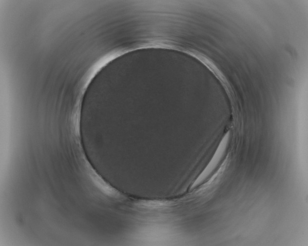 X0000115051246200911091418