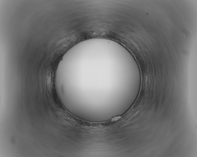 X0000115051250200911091418