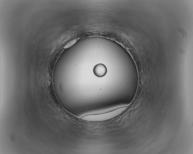 X0000115051253200911091418