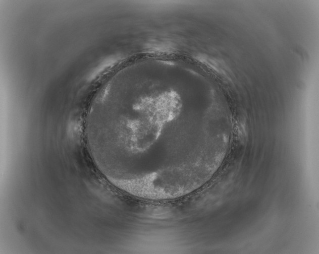 X0000115051254200911091418