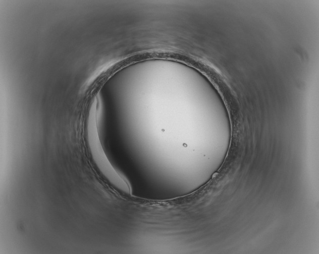 X0000115051255200911091418
