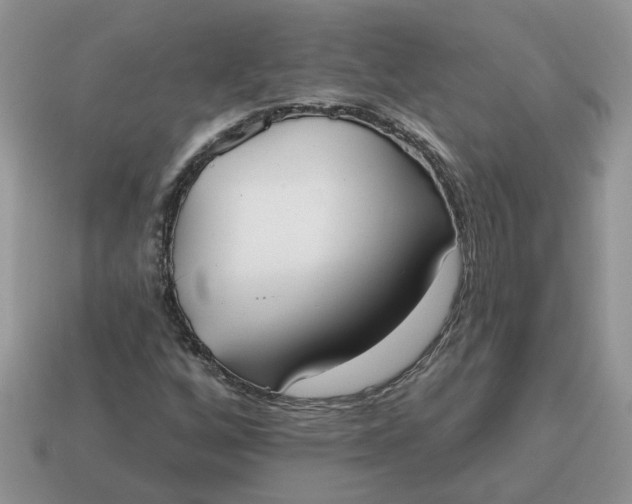X0000115051256200911091418