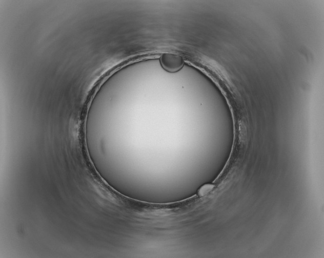 X0000115051260200911091418