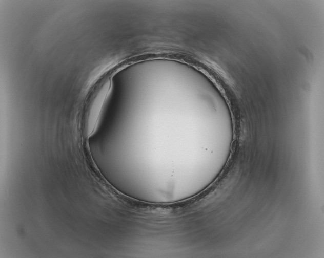 X0000115051261200911091418