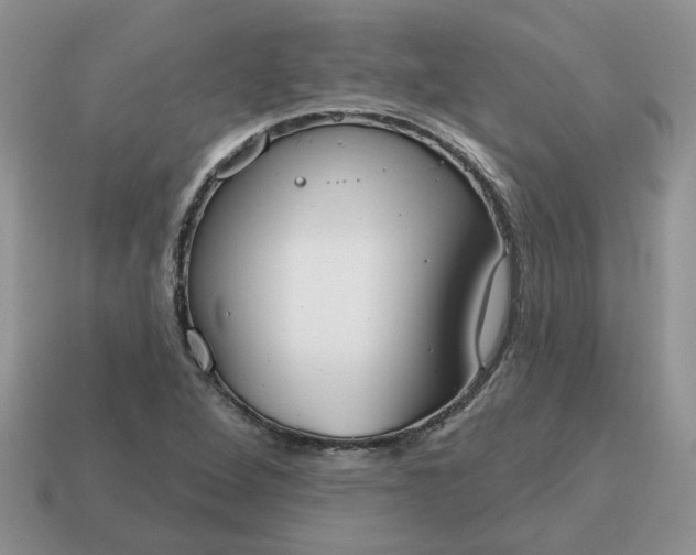X0000115051264200911091418