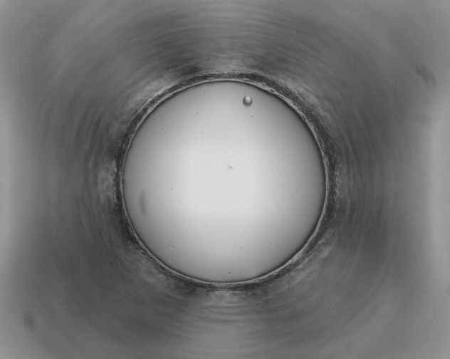 X0000115051265200911091418
