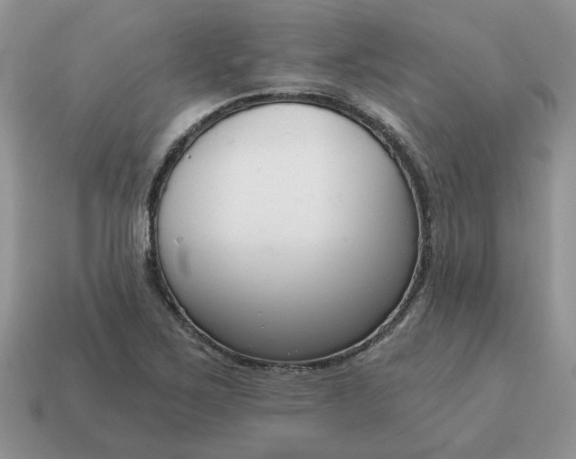 X0000115051267200911091418