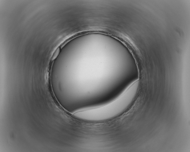X0000115051268200911091418