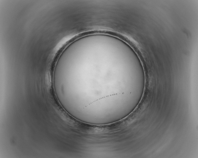 X0000115051271200911091418