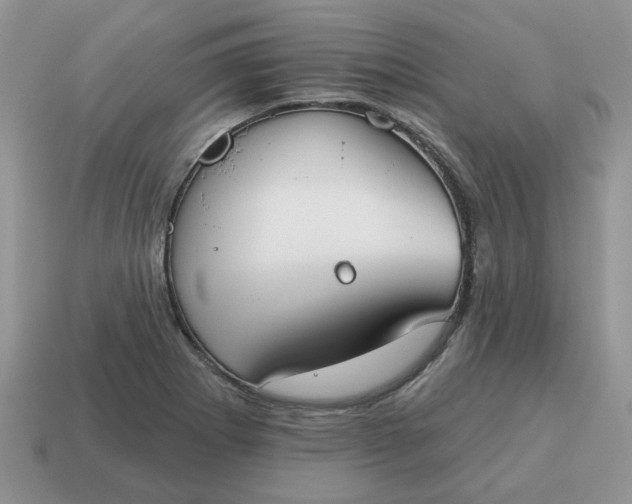 X0000115051273200911091418