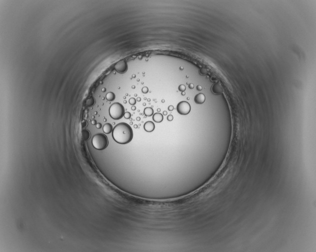 X0000115051274200911091418