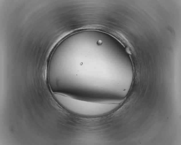 X0000115051276200911091418