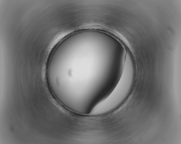 X0000115051277200911091418