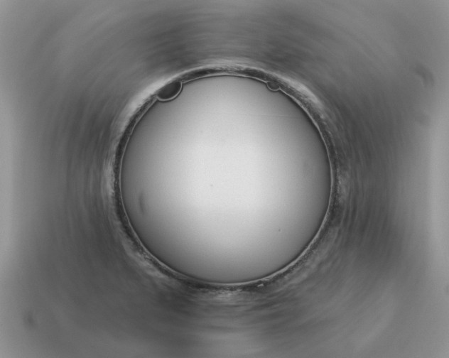 X0000115051279200911091418