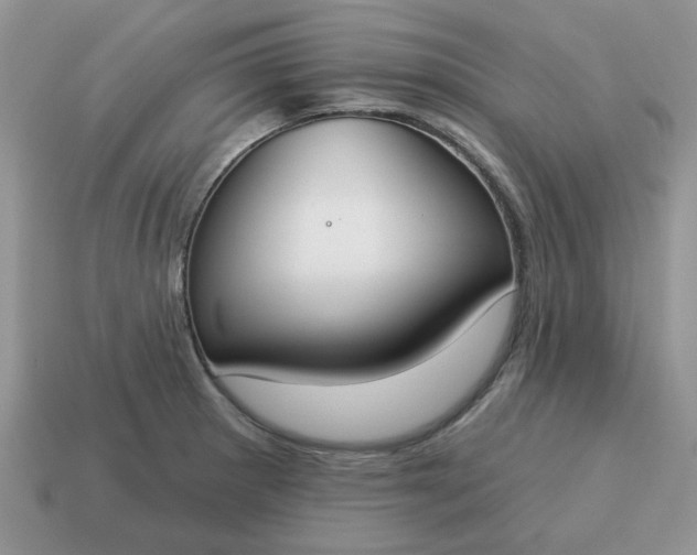 X0000115051281200911091417