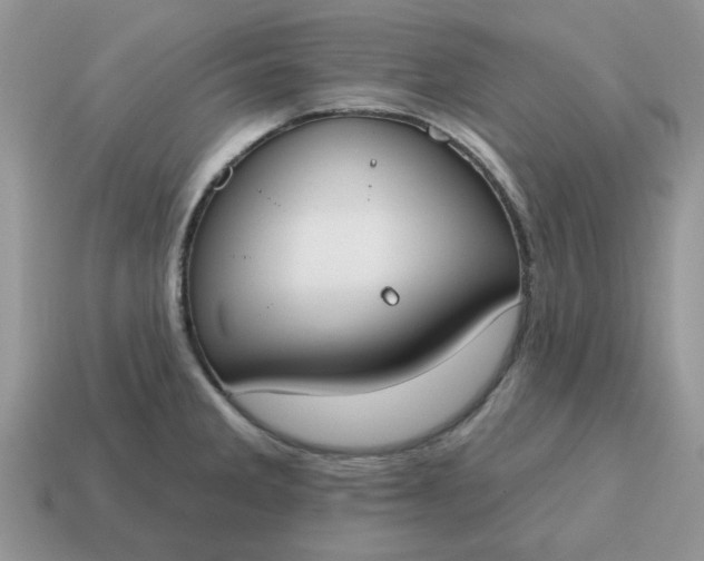 X0000115051285200911091417