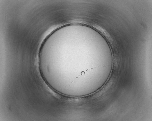 X0000115051286200911091417