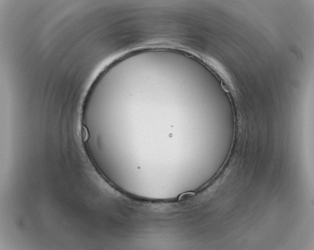 X0000115051288200911091417