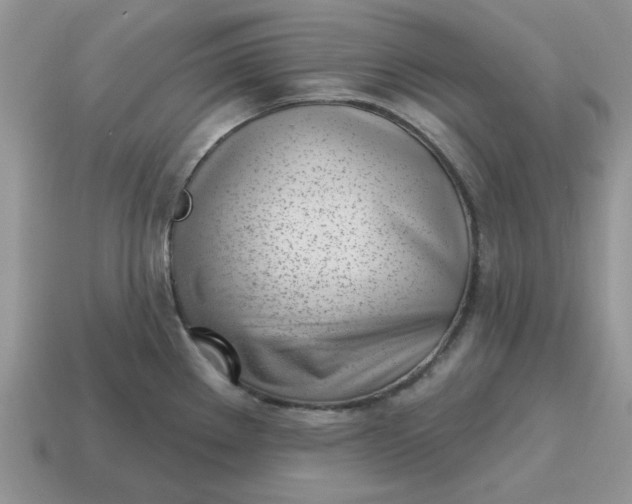 X0000115051289200911091417