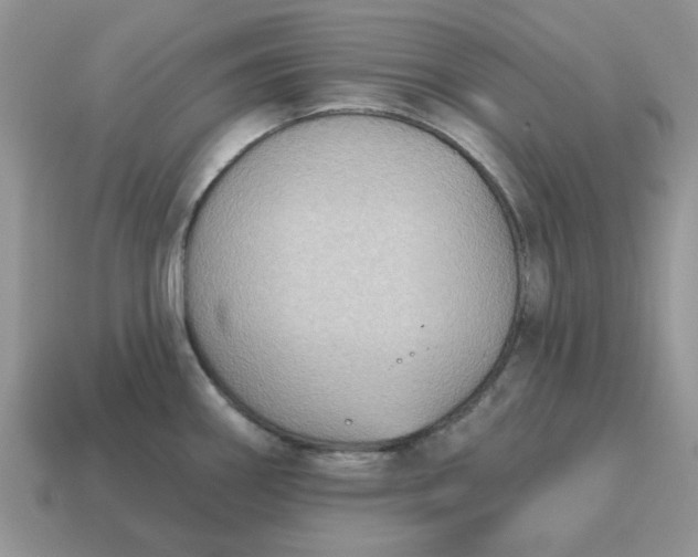 X0000115051290200911091417