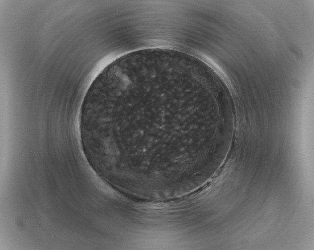 X0000115051291200911091417
