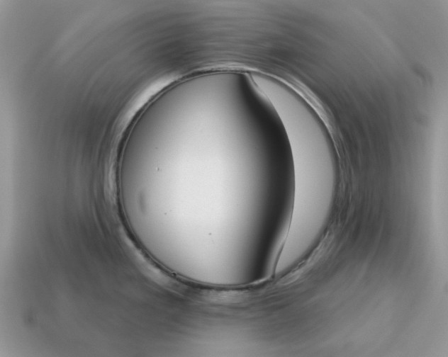 X0000115051293200911091417