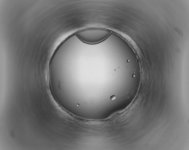 X0000115051295200911091417