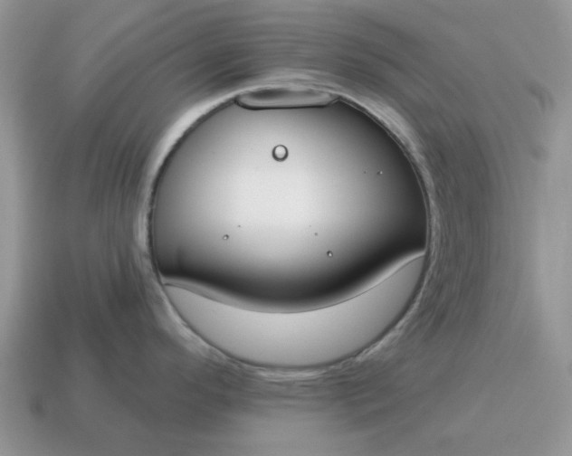 X0000115051296200911091417