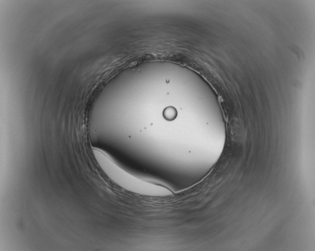 X0000115051298200911091417
