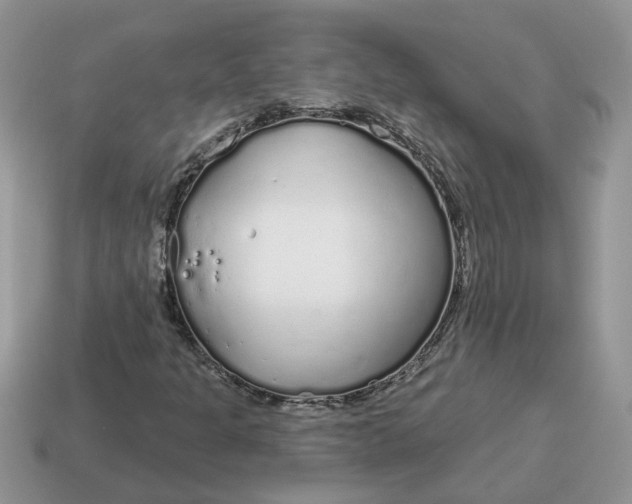 X0000115051301200911091417