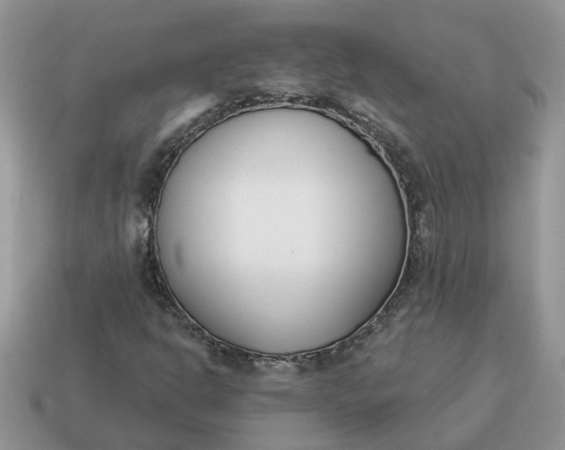X0000115051302200911091417