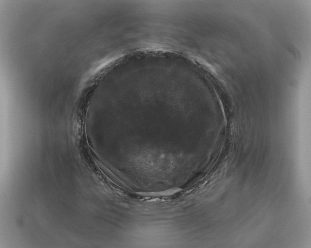 X0000115051303200911091417