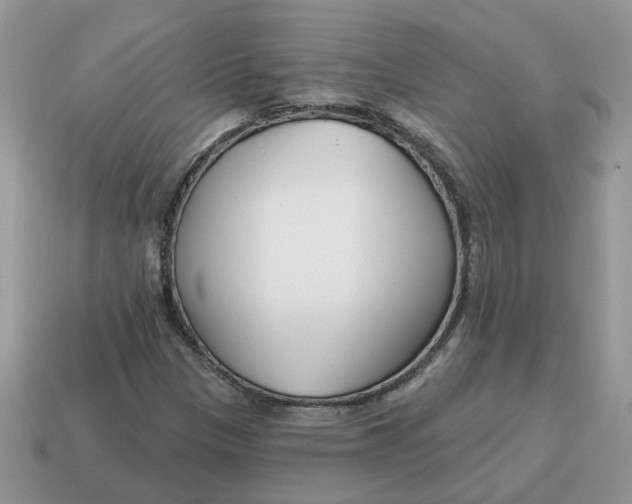 X0000115051305200911091417