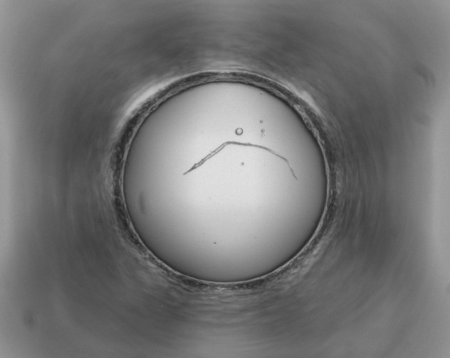X0000115051311200911091417