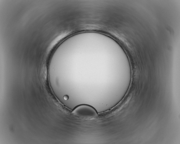 X0000115051317200911091417