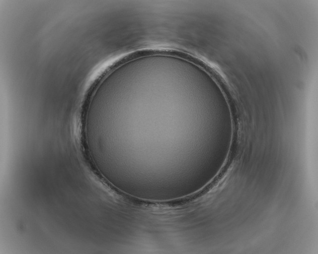 X0000115051319200911091417