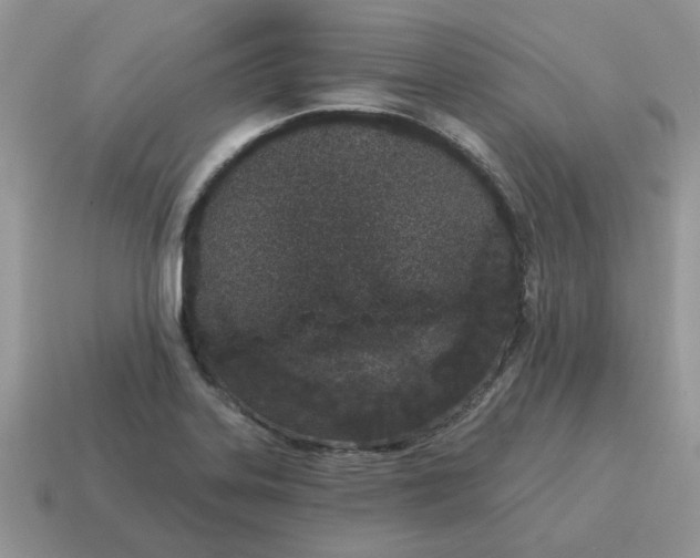 X0000115051323200911091417